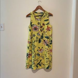 Loft sleeveless dress